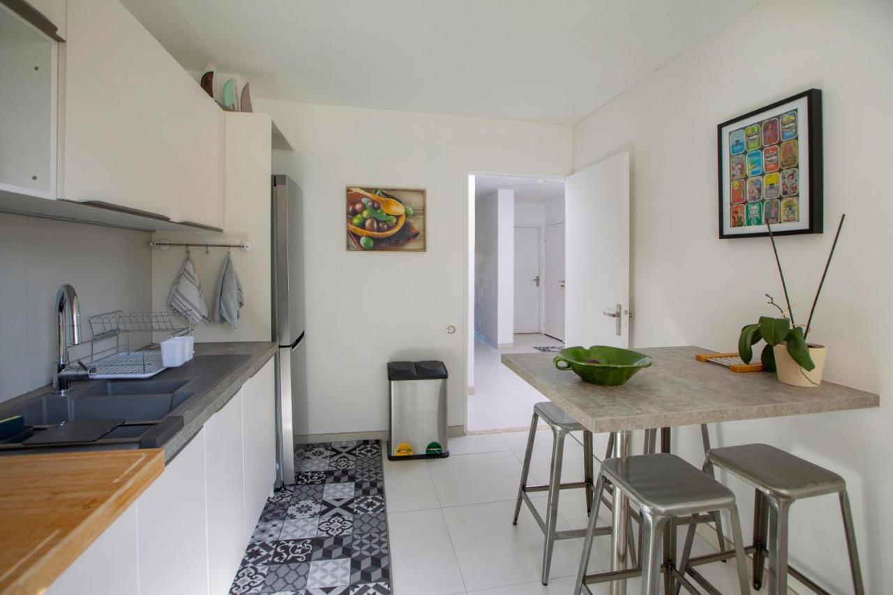 T3 Traversant Standing Garage Et Piscine Exterieure Gratuits Apartment *